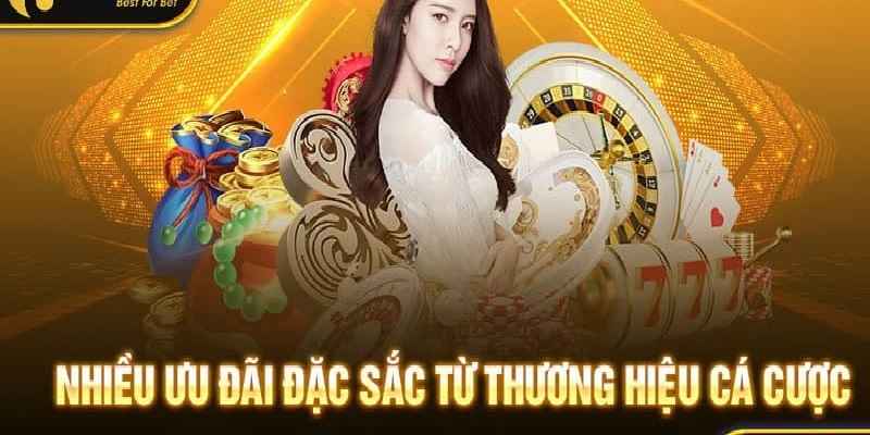 New88 - Chất lượng và cực kỳ uy tín